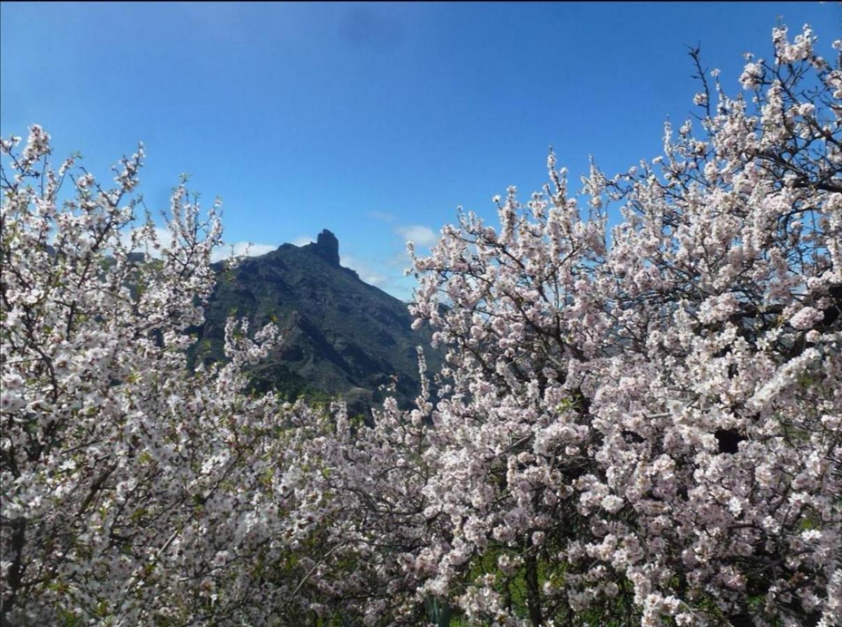 Casa Rural Juan Y Juana Canino Tejeda  Εξωτερικό φωτογραφία